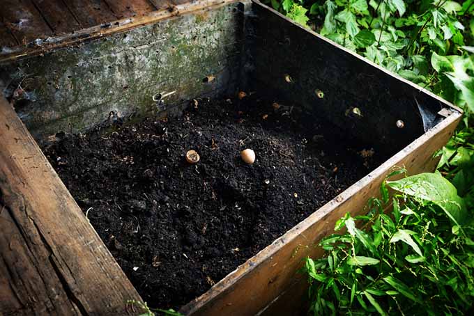 Composting With Worms at Home