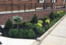 Landscaping Before & After Portfolio