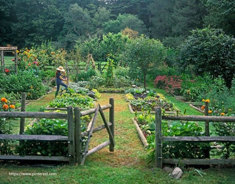one thousand Ideas About Vegetable Garden Layouts On Pinterest