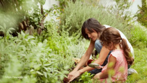 What To Plant In Your Summer Vegetable Garden