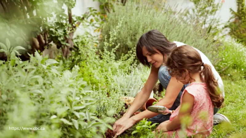 What To Plant In Your Summer Vegetable Garden