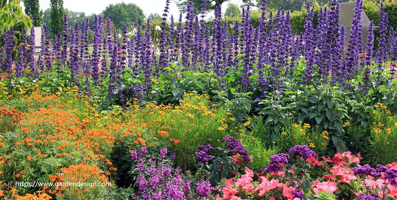 Perennial Flower Gardening For Beginners