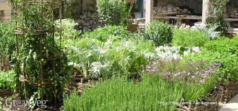 Planning Your Garden and Planting in January