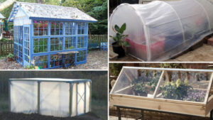 Homemade Greenhouse - A Gardening Structure on a Spending budget