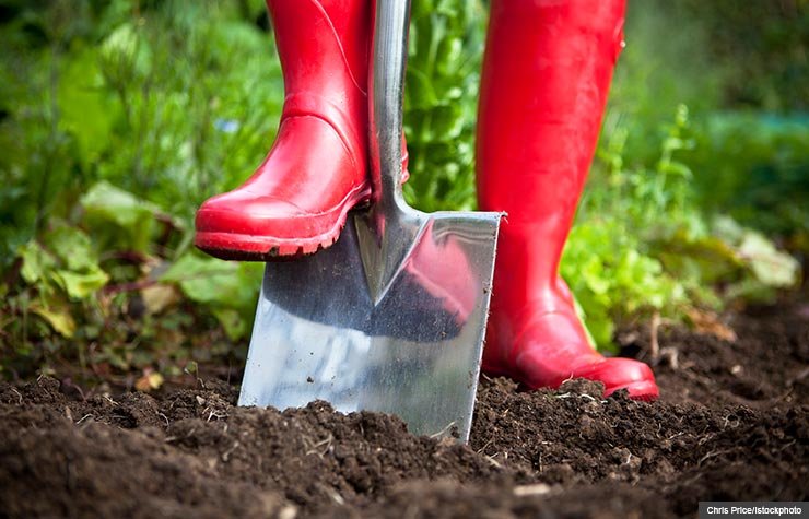 Tips on Getting Ready For Gardening Season