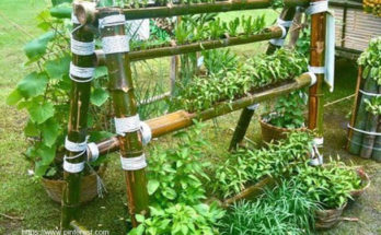 Tips on Producing an Outdoor Hydroponic Backyard