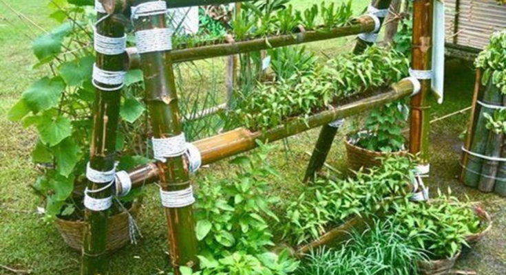 Tips on Producing an Outdoor Hydroponic Backyard