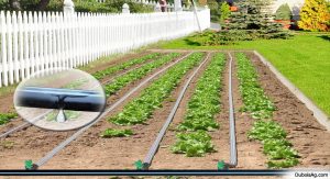 Garden Irrigation Systems