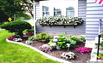 Garden Landscaping Ideas - Tips to Beautify Your Home