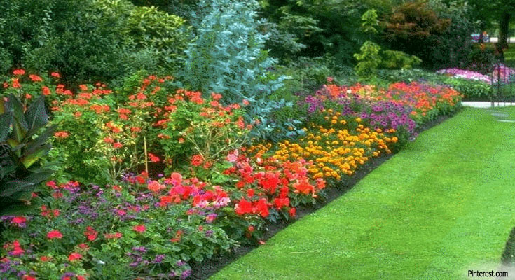 Gardening - Choosing Plants For Your Garden