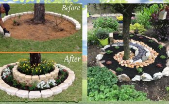 Landscaping DIY For a Gorgeous Garden