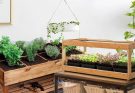 Functional and Attractive Herb Garden Designs