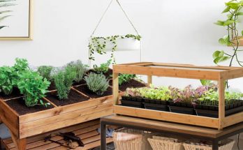 Functional and Attractive Herb Garden Designs