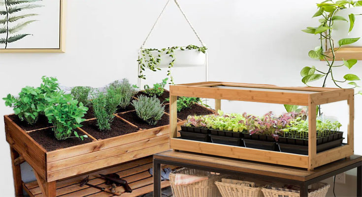 Functional and Attractive Herb Garden Designs