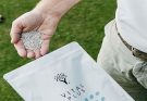 Five Top Lawn Feed Fertilizers for Optimal Grass Seed Growth
