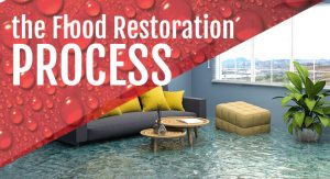 How to Face the Flood Restoration Process