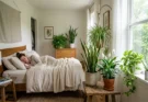 Top Air-Purifying Indoor Plants for Bedroom Health and Better Sleep